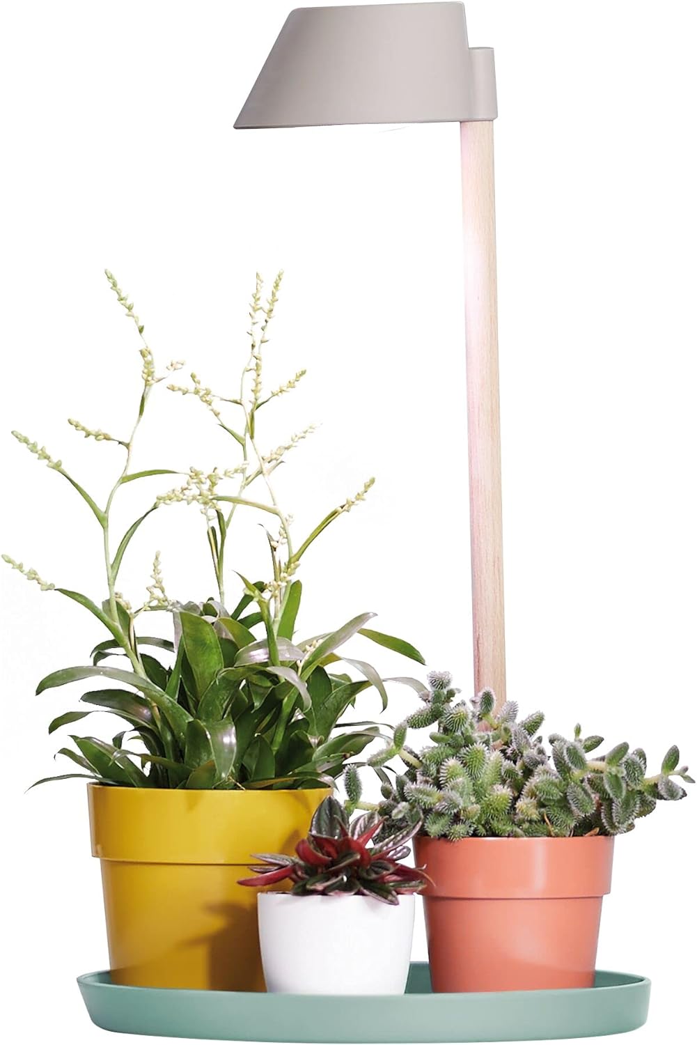 Plant LED Light Care 11cm - Glacier Grey