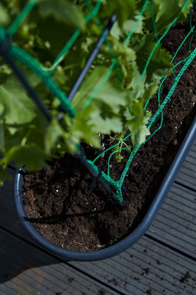 Green Basics Veggie Wall 80cm Living Black