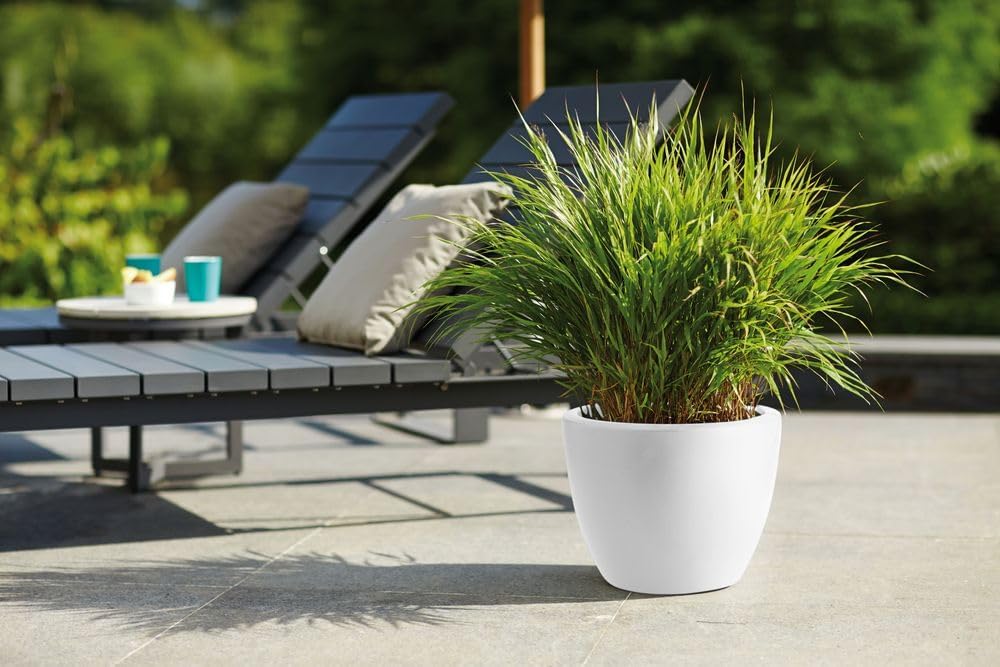 Pure Soft Round 30cm - White