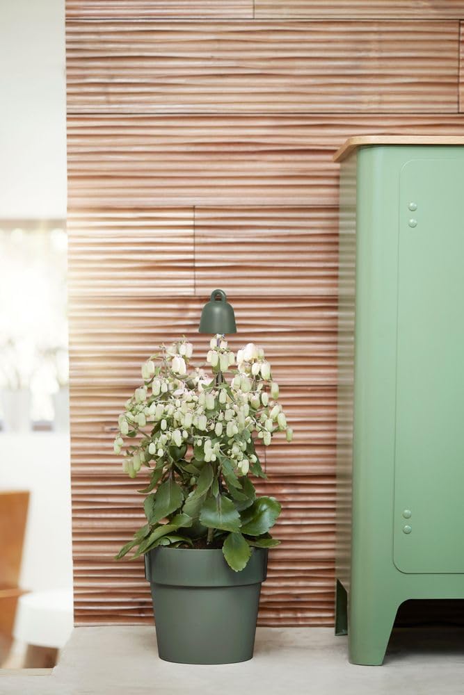 LED Leaf Light Care 36cm - Leaf Green