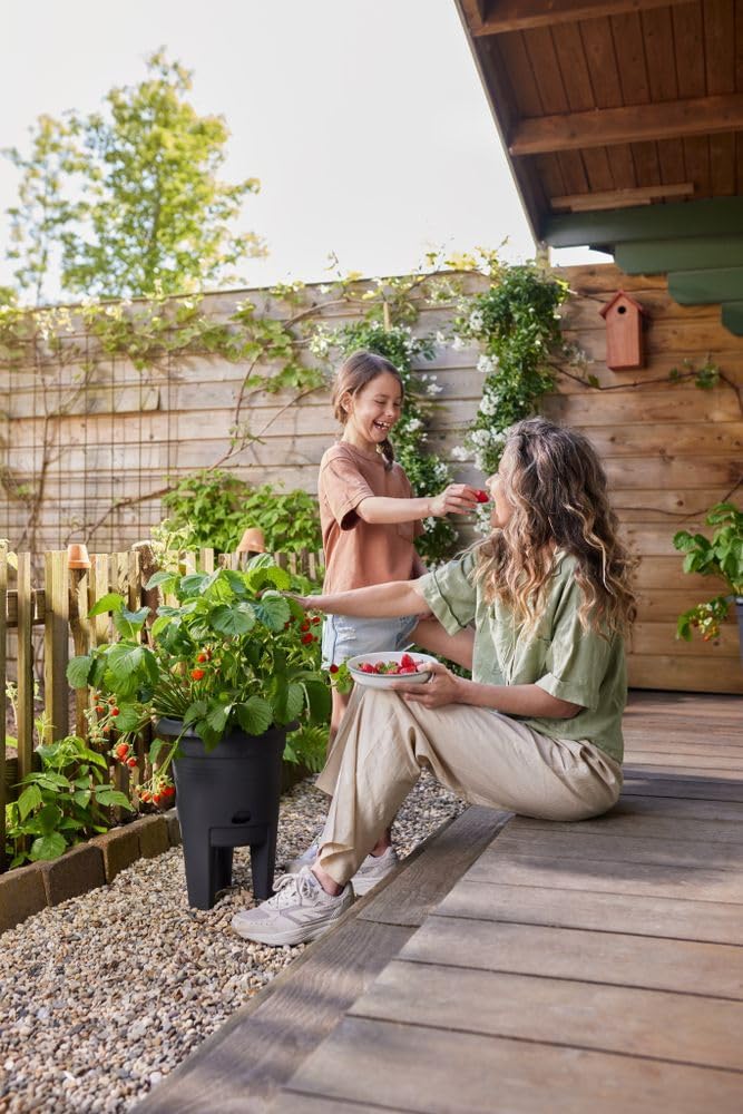 Green Basics Strawberry Pot 22cm - Living Black