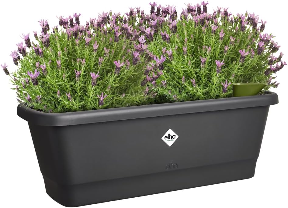 Noa Balcony Trough Medium Living Black