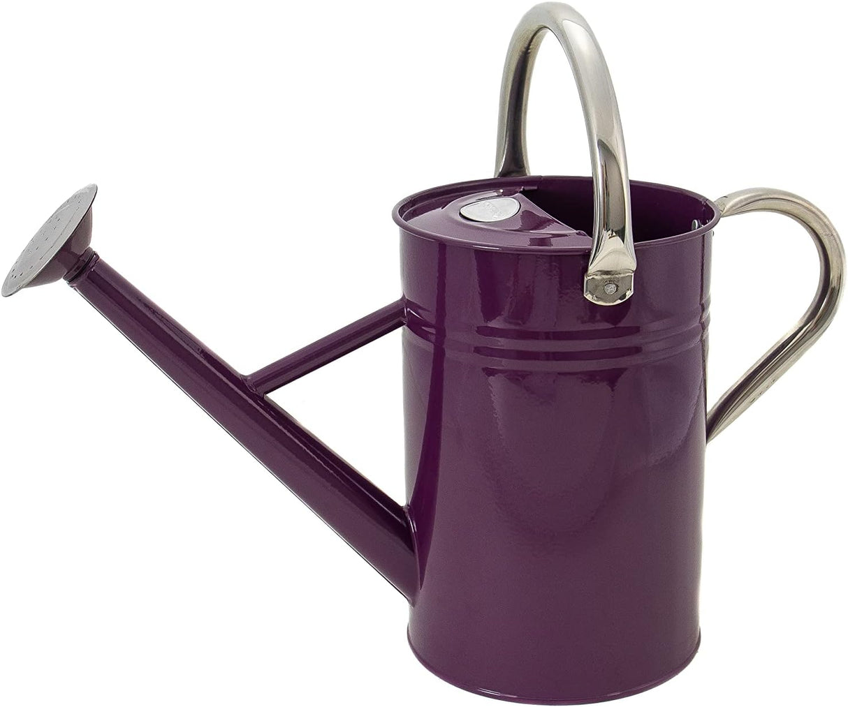 4.5L Metal Watering Can in Deep Violet