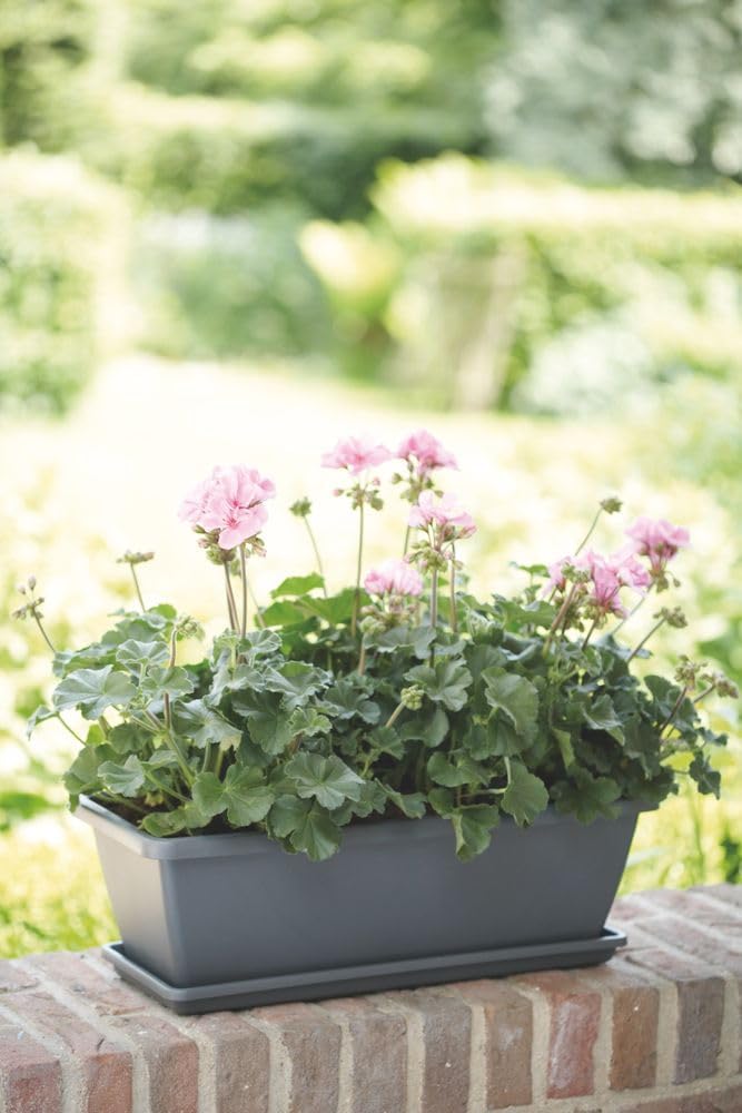 Barcelona Trough 50 - Planter for Balcony & Outdoor - Anthracite