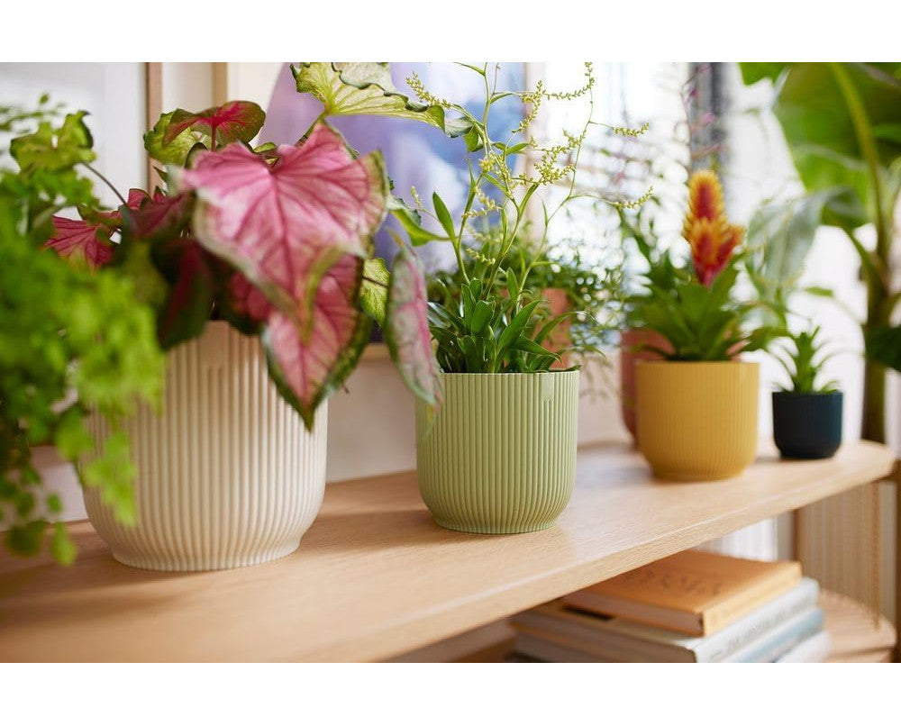 Vibes Fold Round 14cm Sorbet Green