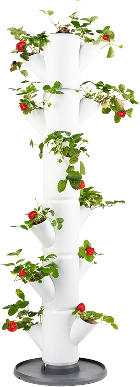 Sissi Strawberry Planter Classic - White