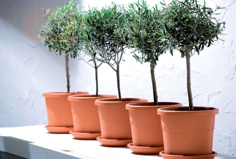 Algarve Cilindro 21cm - Terracotta