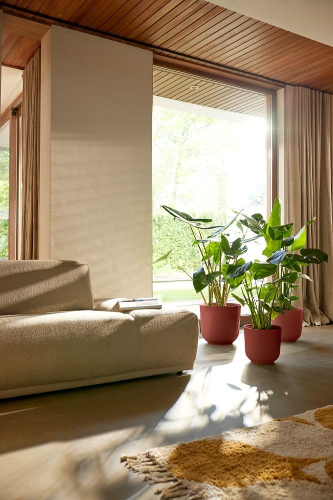 Jazz Round 35cm - Tuscan Red