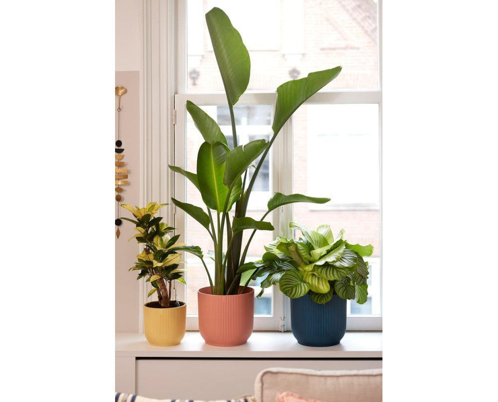 Vibes Fold Mini 11cm Round Delicate Pink