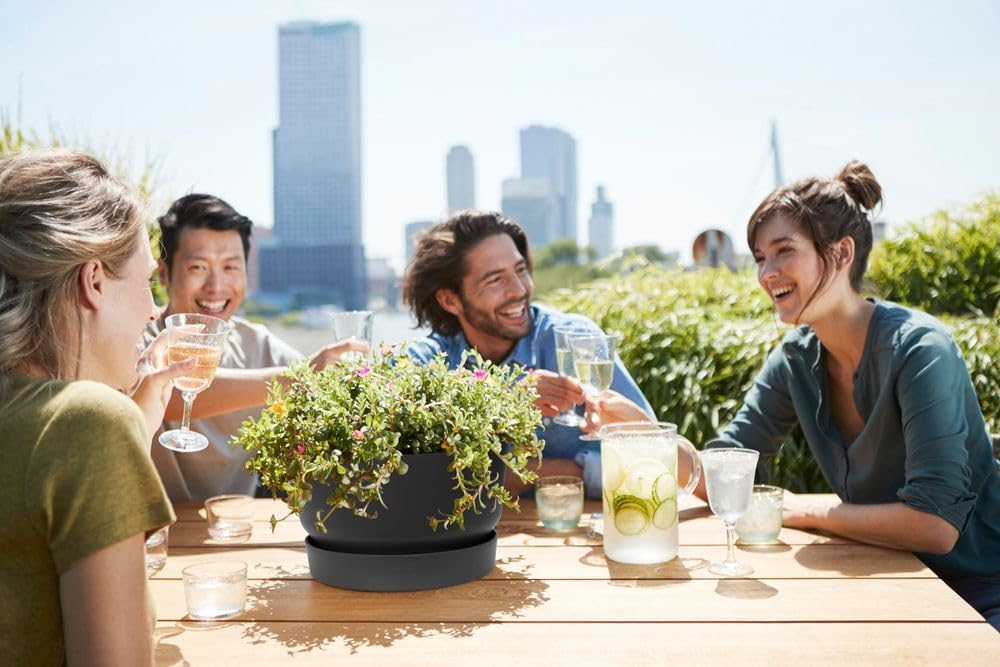 Greenville Bowl 33cm - Living Black