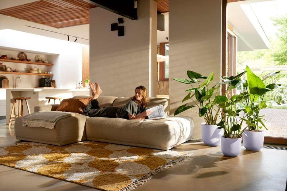 Jazz Round 35cm - Lavender Lilac