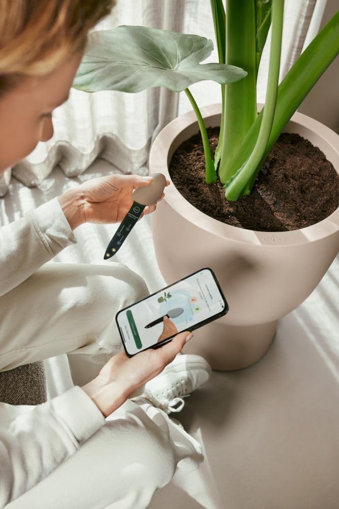 Smart Pebble - Plantcare - Plant App with Wifi