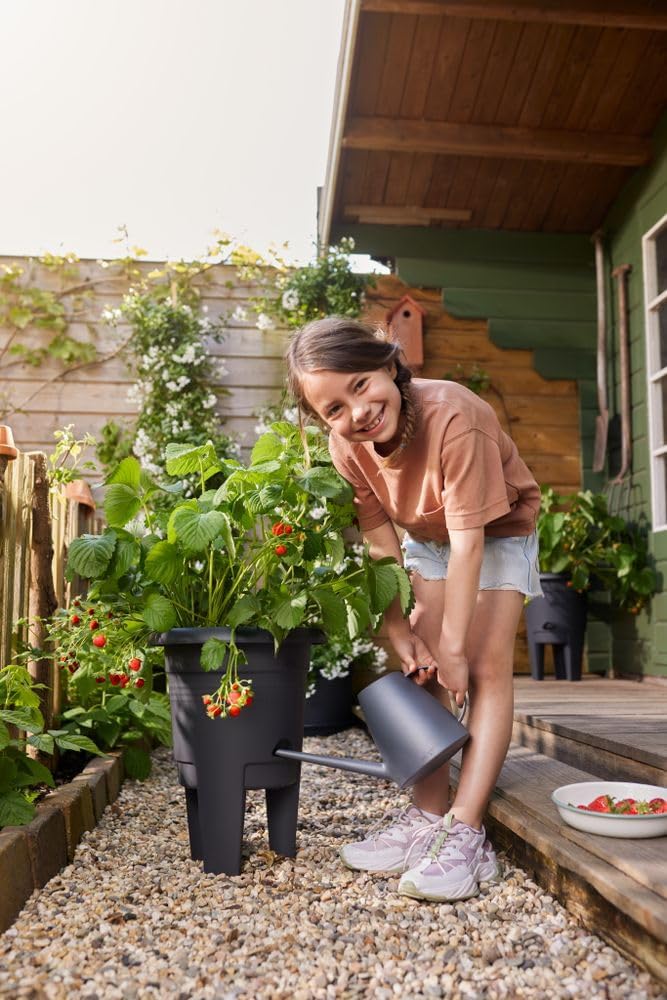 Green Basics Strawberry Pot 33cm - Living Black