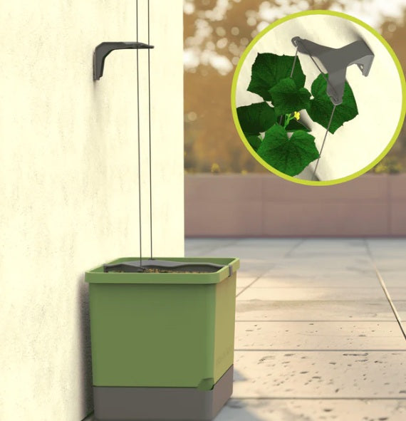 Curt Cucumber Planter Dark Green - Climbing Aid & Self-Watering System