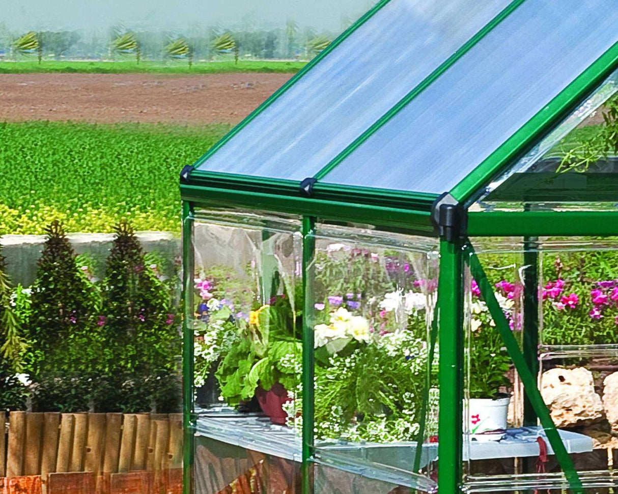 Hybrid 6' x 12' Greenhouse - Green Frame & Hybrid Polycarbonate Panels