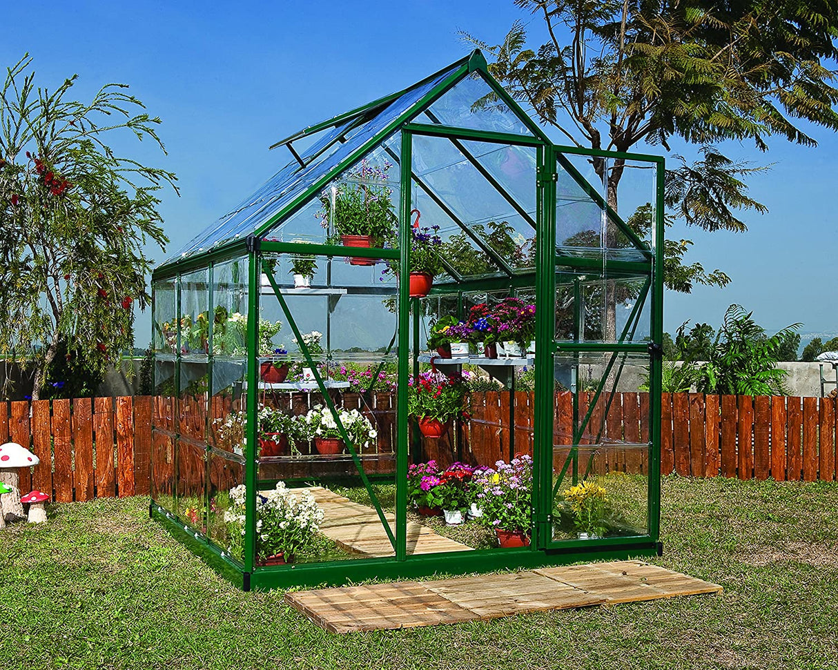 Harmony 6' x 6' Greenhouse - Green Frame & Clear Polycarbonate Panels