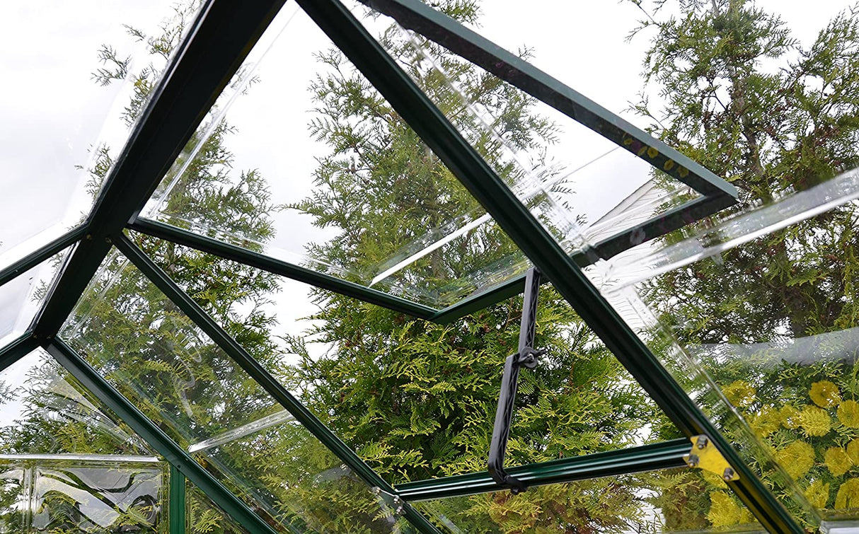 Harmony 6' x 6' Greenhouse - Green Frame & Clear Polycarbonate Panels