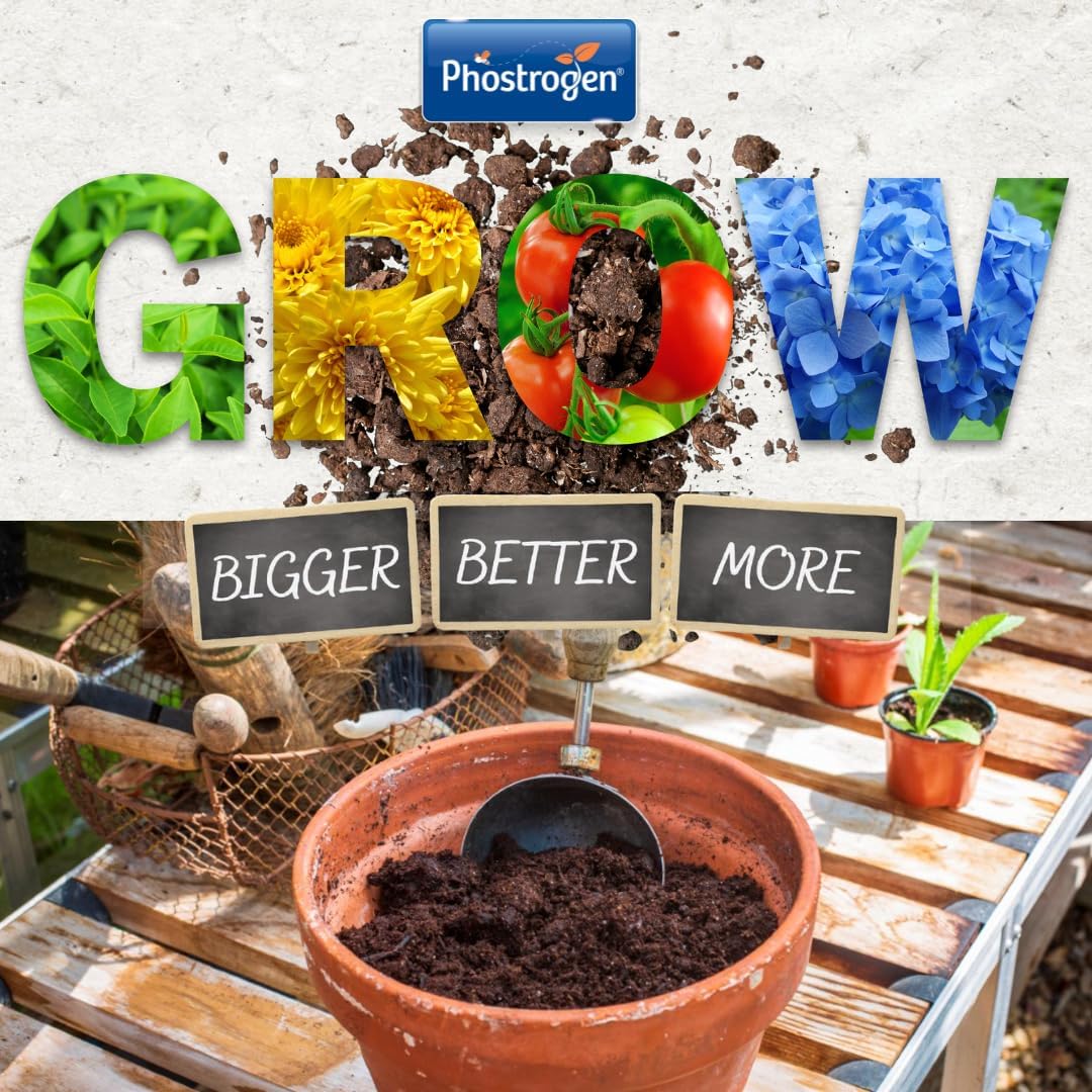All Purpose Plant Food - 800g