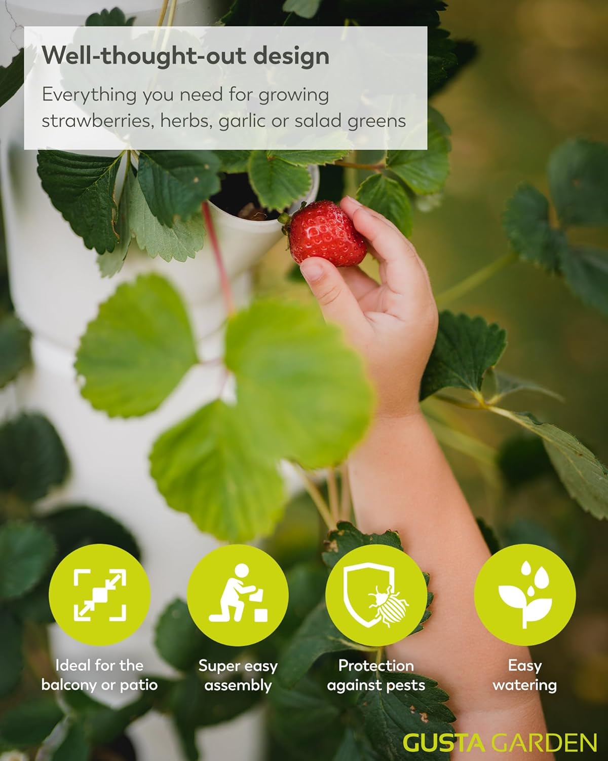 Sissi Strawberry Planter Starter - White