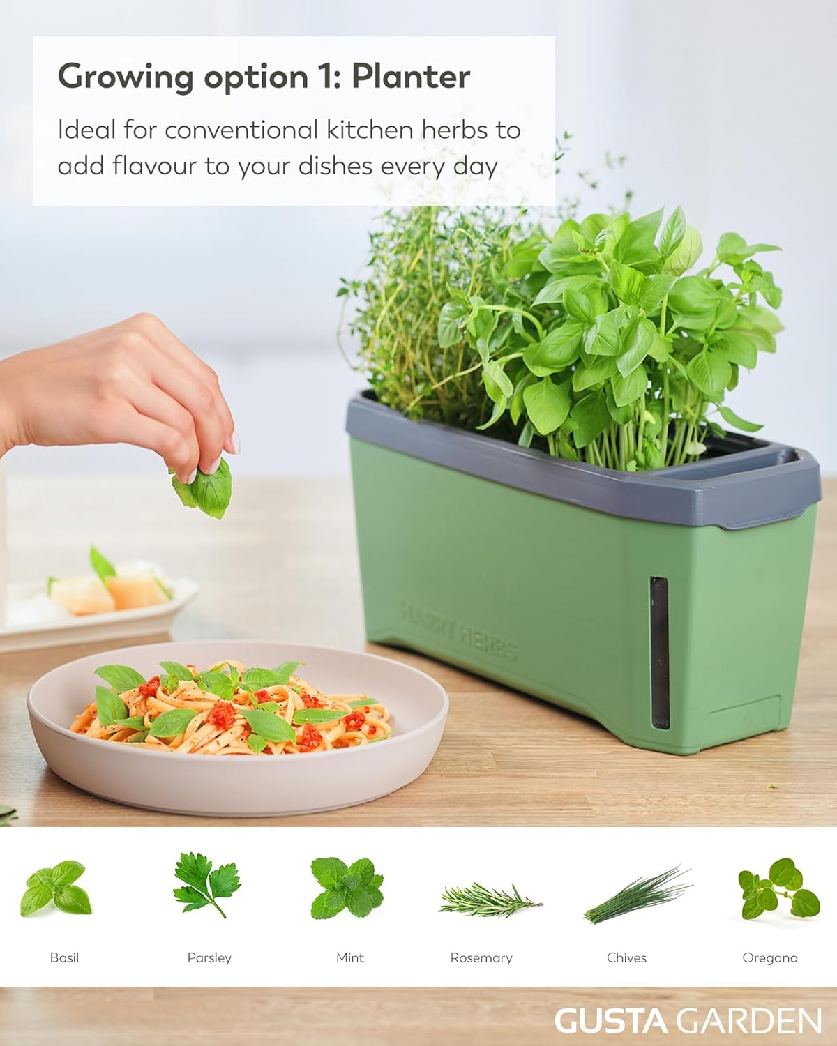 Harry Herbs 4-in-1 Herb Pot - Dark Green