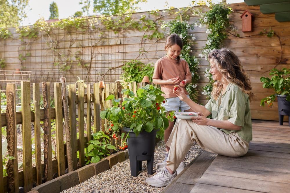 Green Basics Strawberry Pot 22cm - Living Black