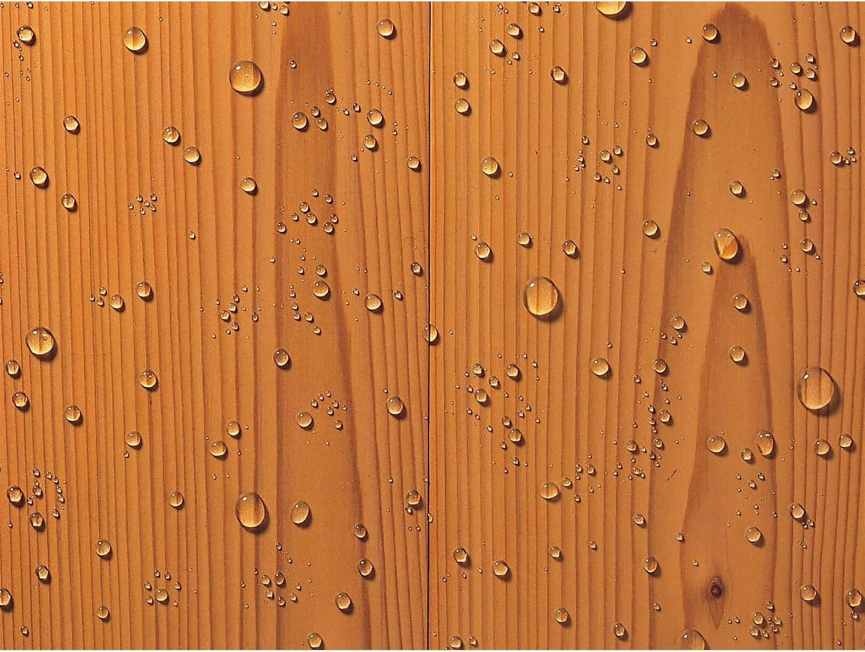 Thompson's Water Seal 5L