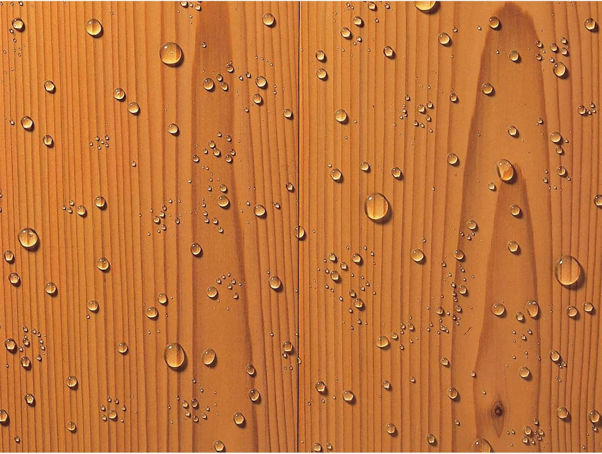 Thompson's Water Seal 1L