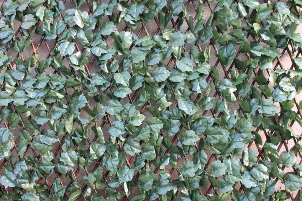 Wonderwal Ivy Trellis 1 x 2m