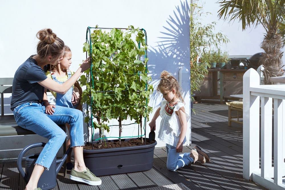 Green Basics Veggie Wall 80cm Living Black