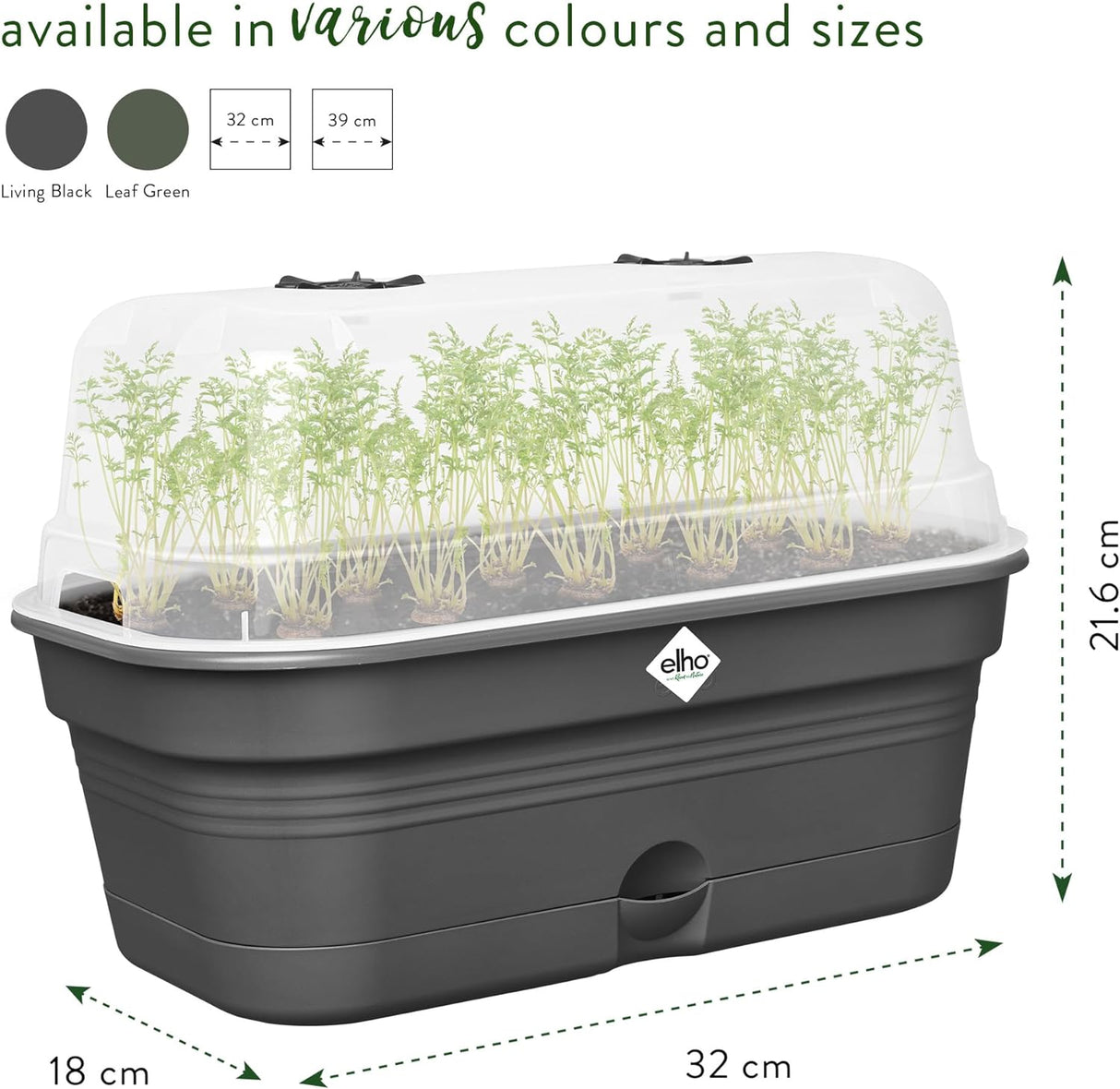 Green Basics All in 1 Medium Grow Tray Living Black