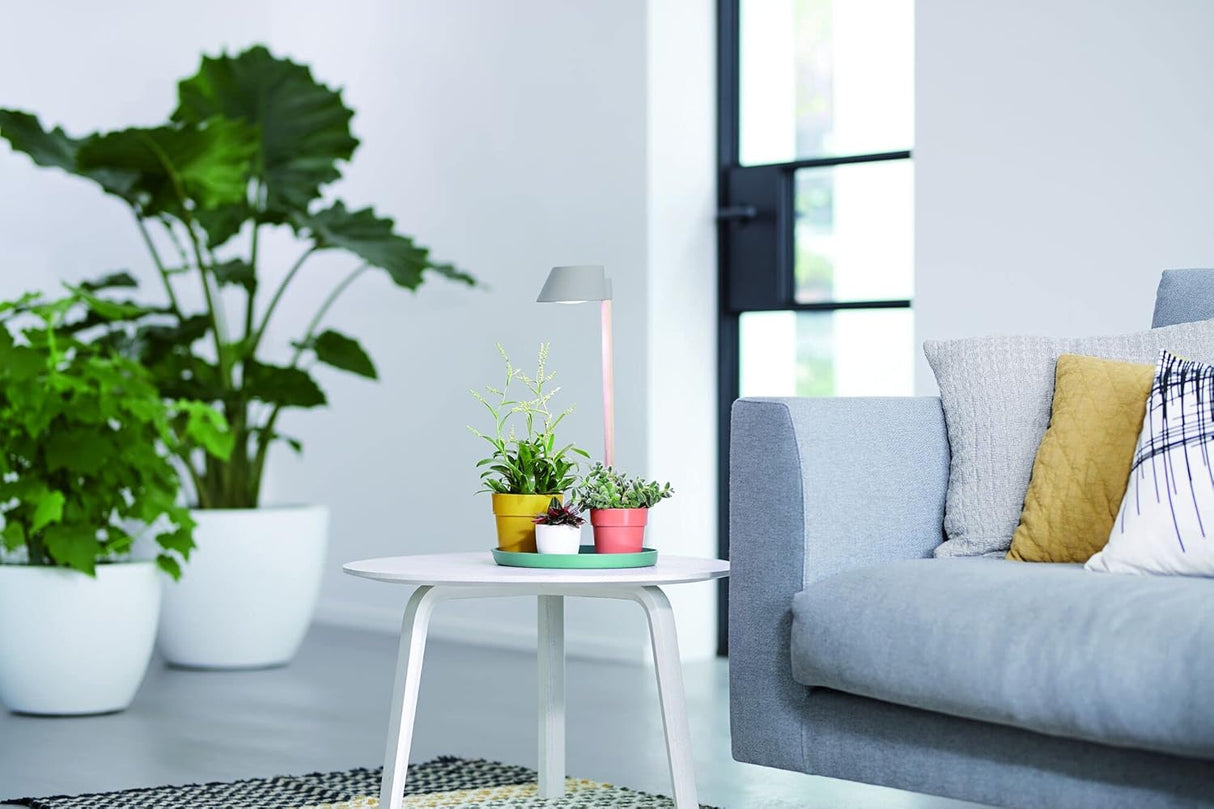 Plant LED Light Care 11cm - Glacier Grey