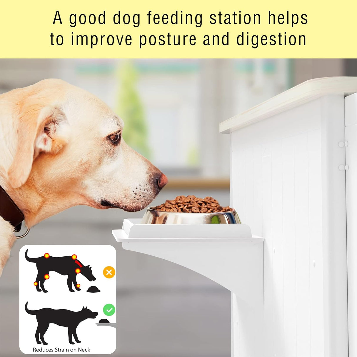 Rocky Dog Food Storage Container Cabinet