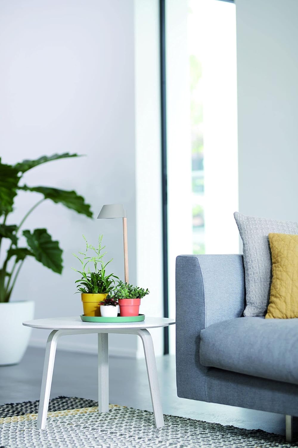 Plant LED Light Care 11cm - Glacier Grey