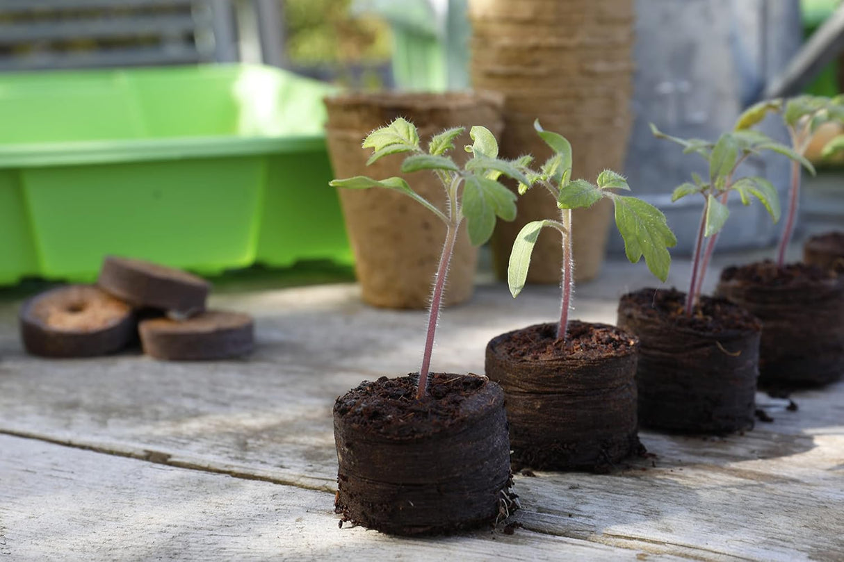 Grow It 50 Peat Free Compost Discs