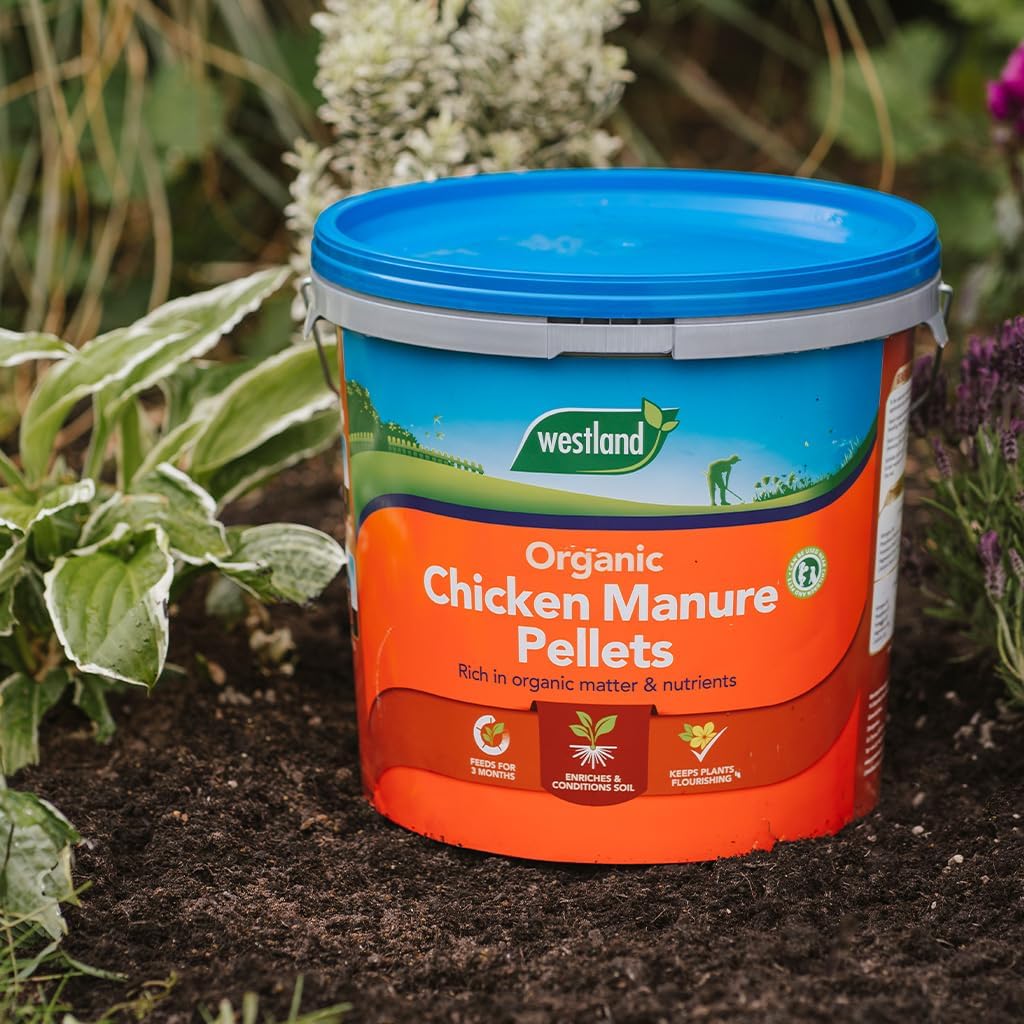 Westland Organic Chicken Manure Pellets Bucket 8kg