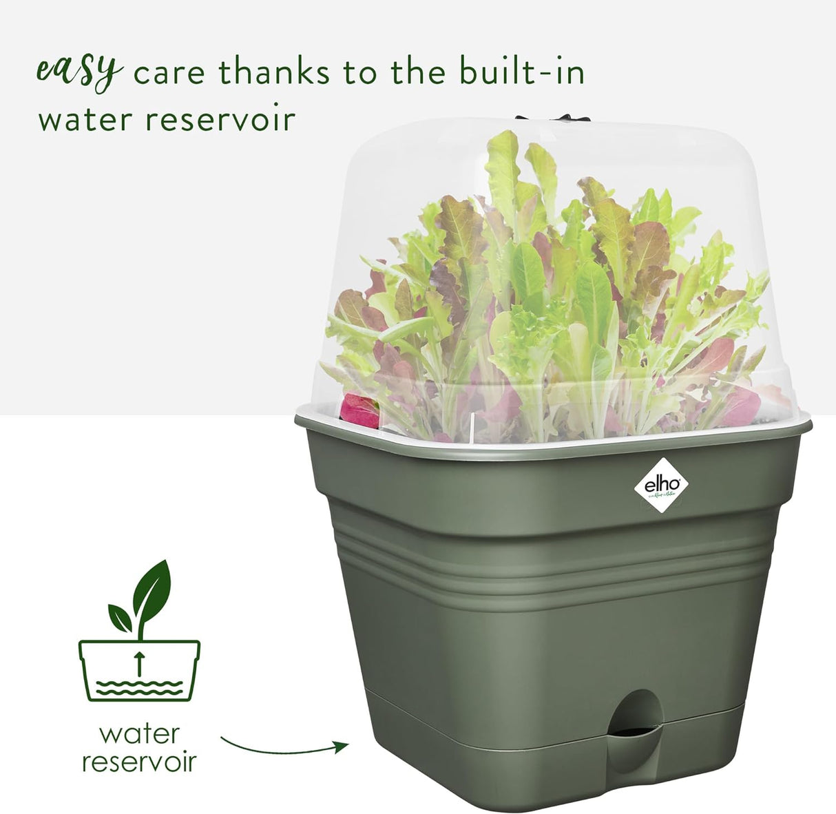 Green Basics Square All in 1 Growpot 35cm - Leaf Green