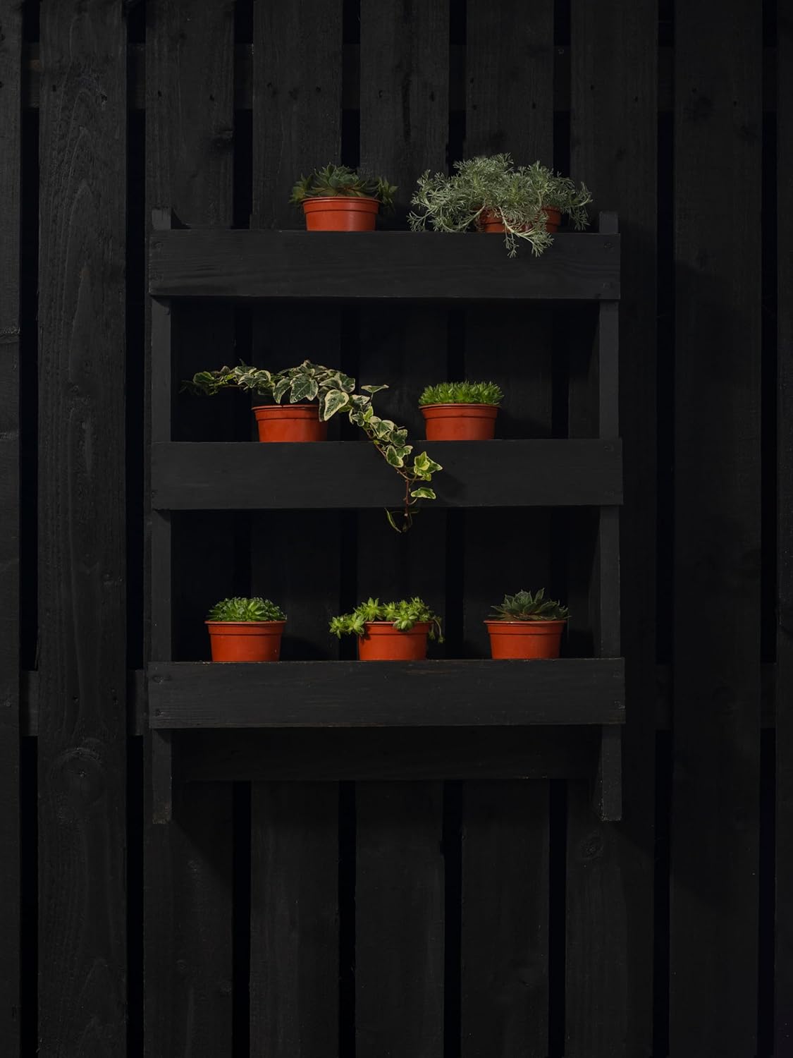 Ronseal Fence Life Plus+ - Tudor Black Oak 5L