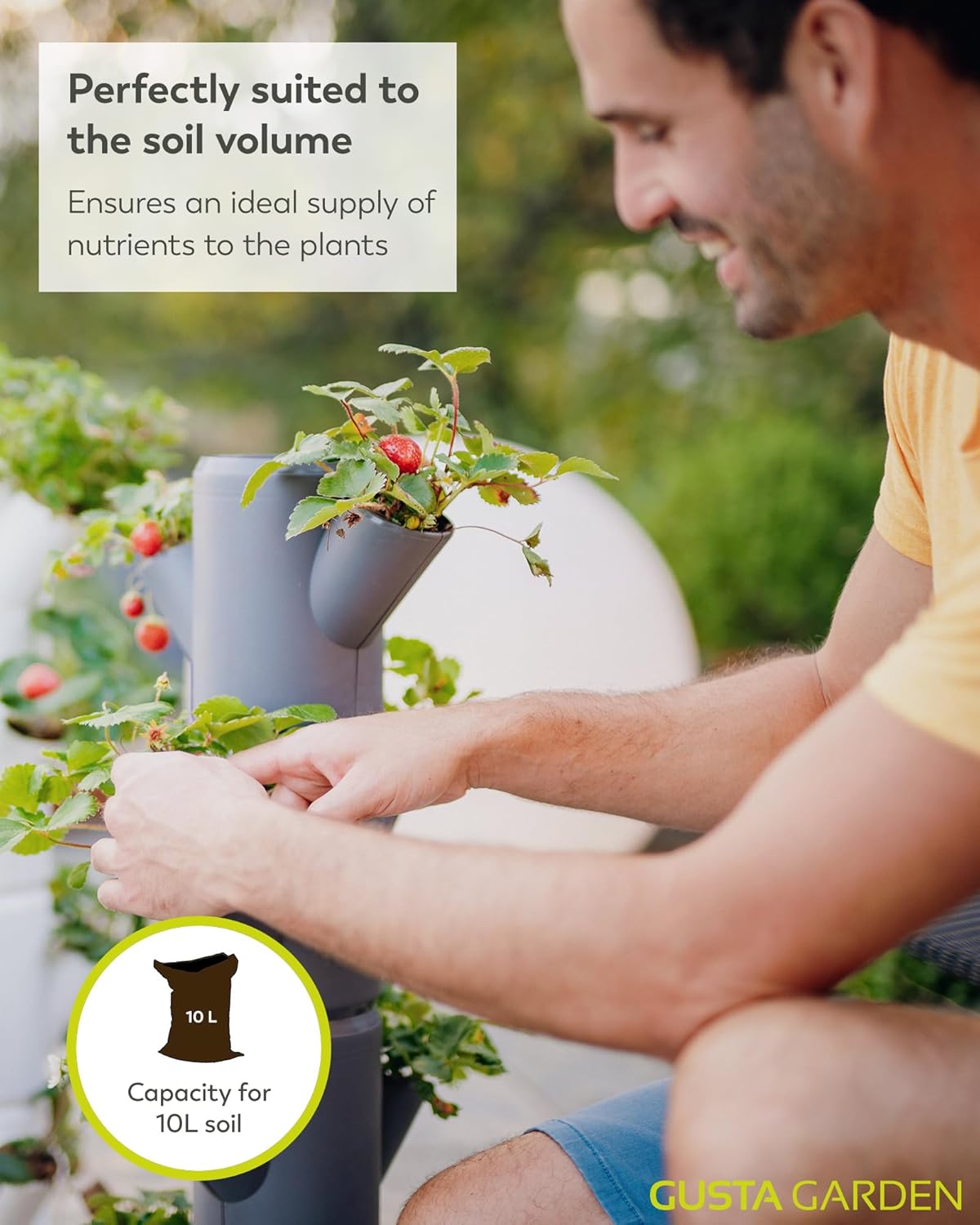 Sissi Strawberry Planter Starter - Grey