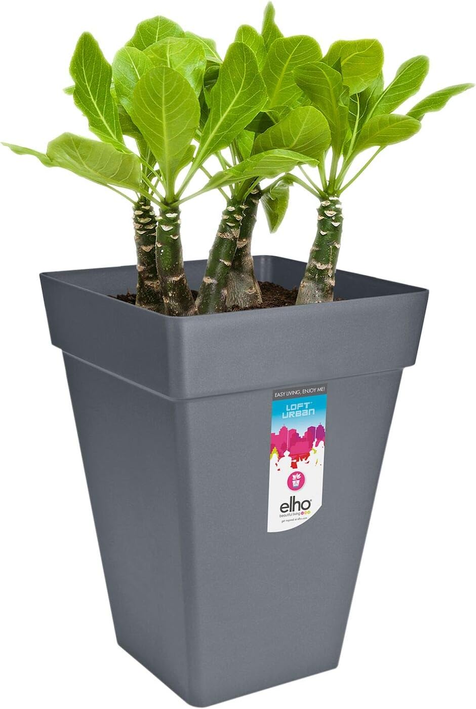 Loft Urban Square High 30cm - Anthracite