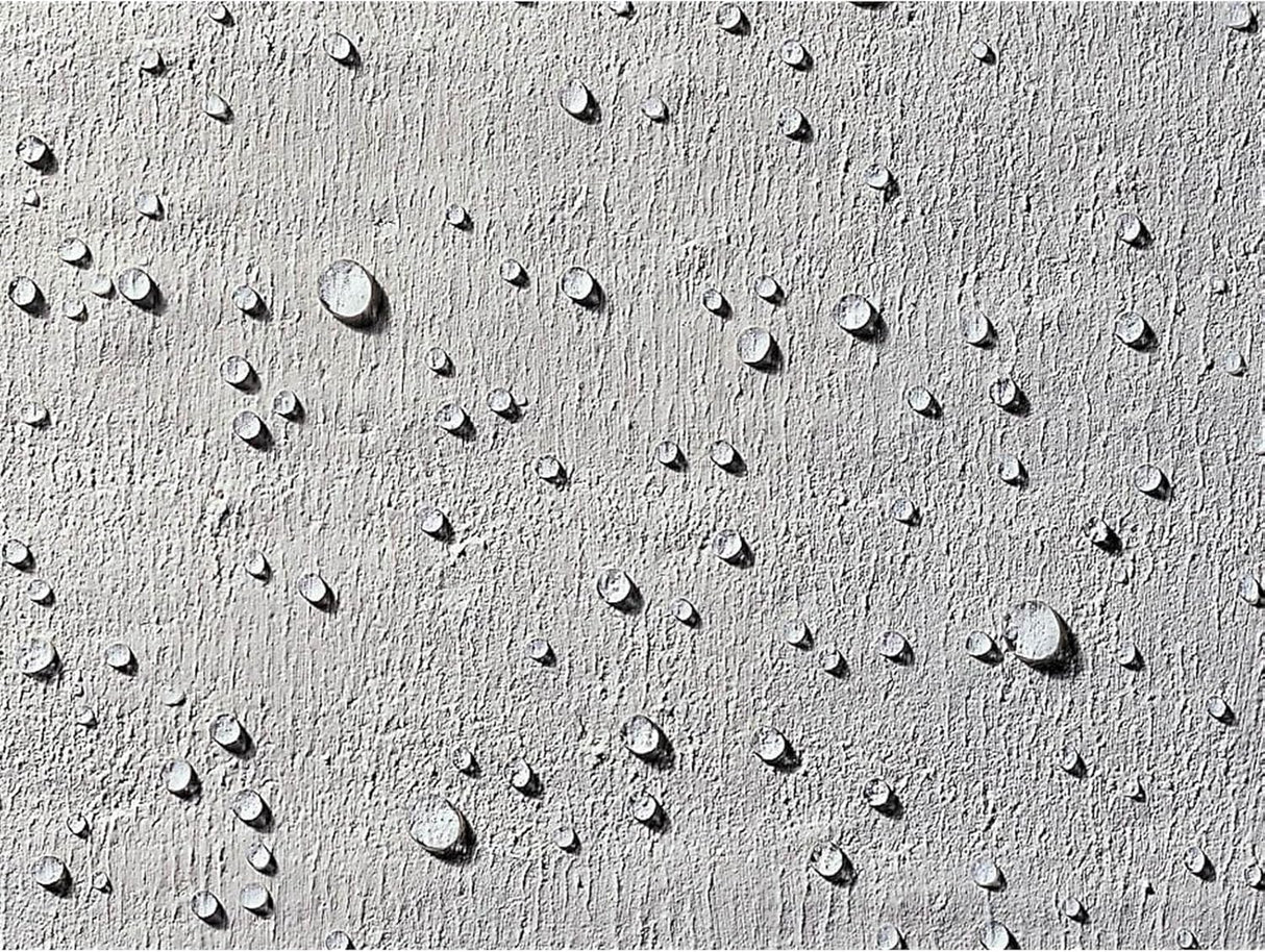 Thompson's Water Seal 1L