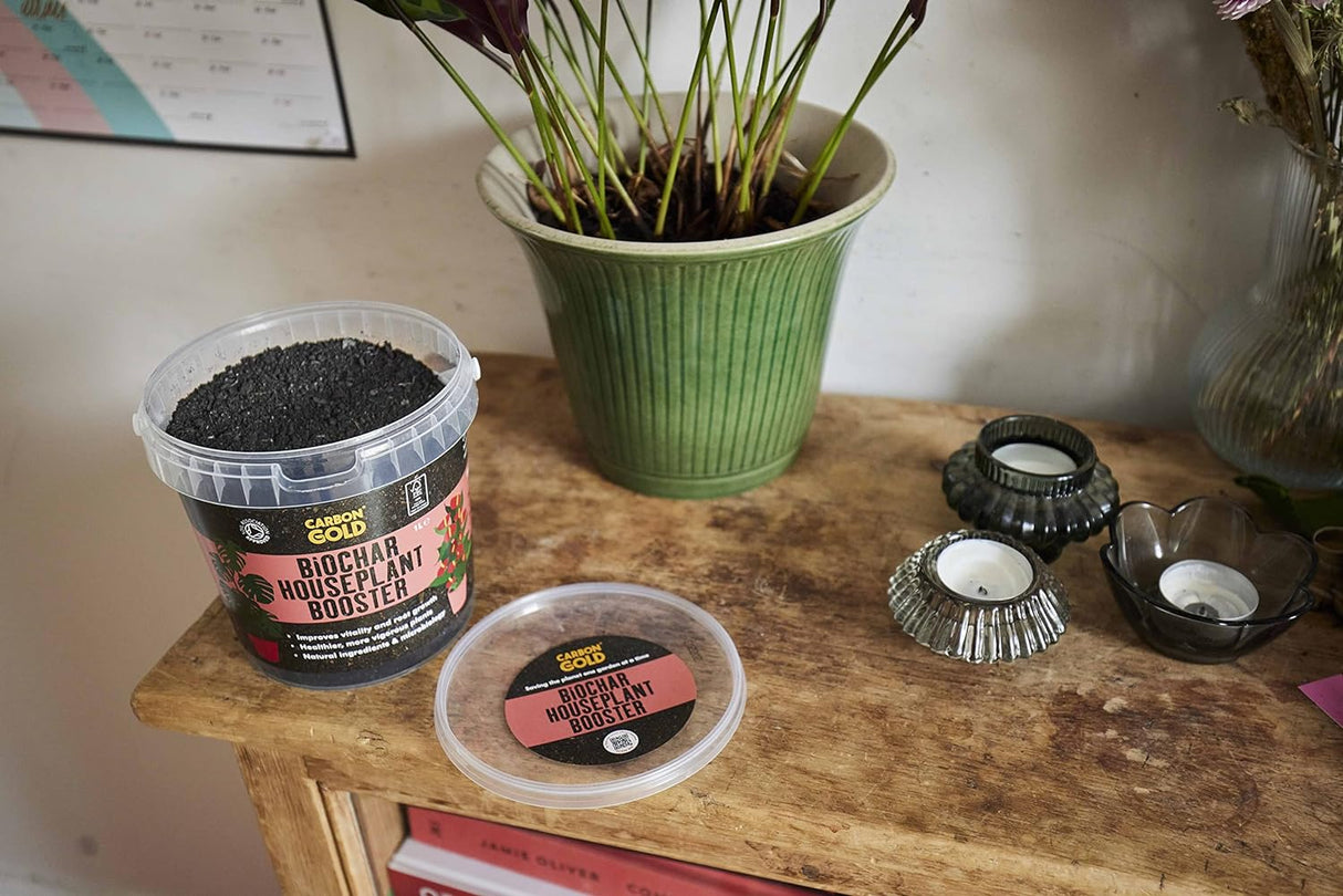 Biochar Houseplant Booster
