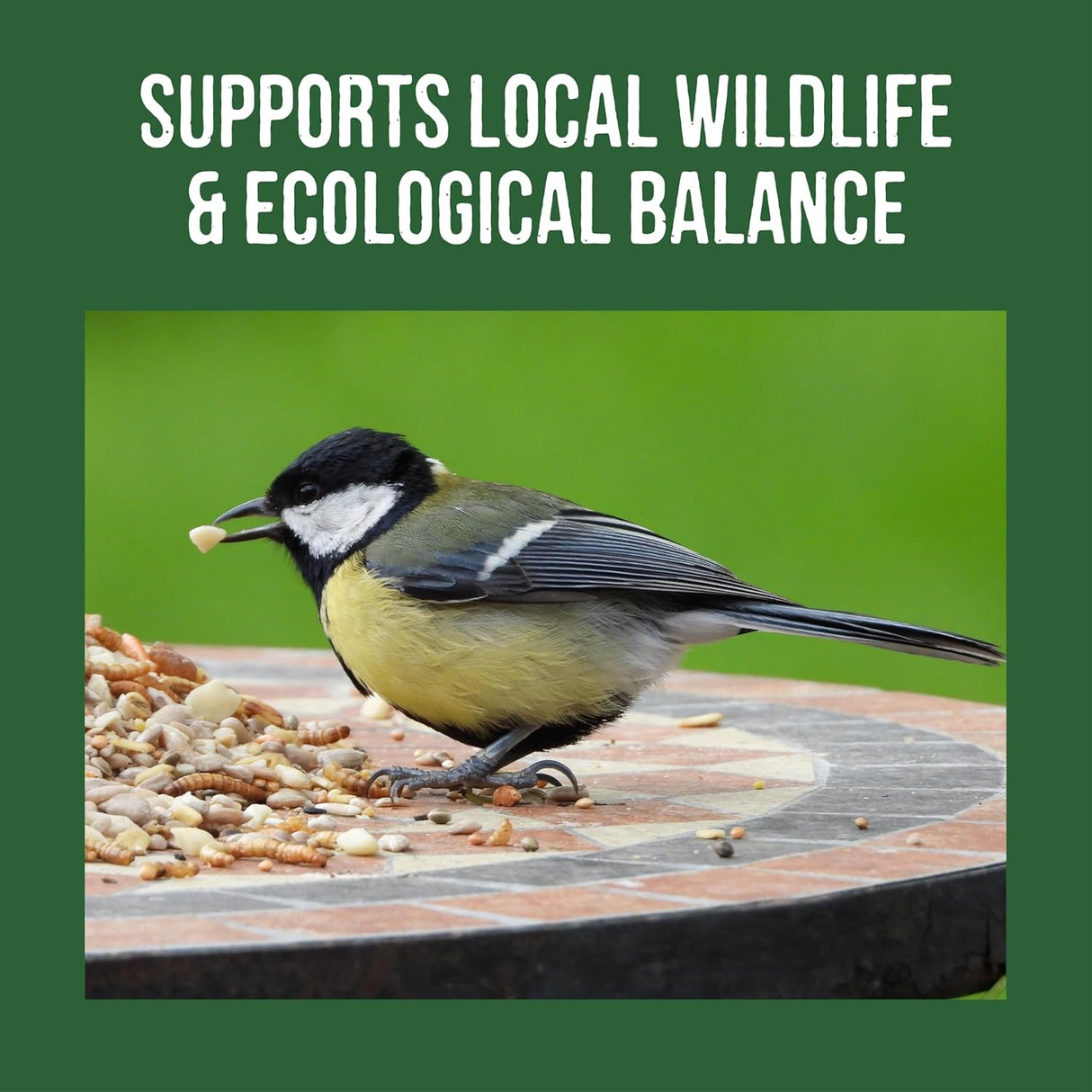 Honeyfields Sunflower Hearts 12.6kg