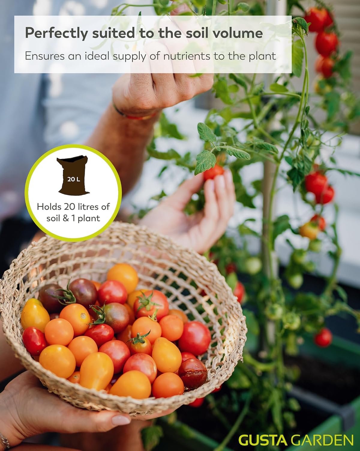 Tom Tomato Planter Dark Green - Climbing Aid, Self-Watering System & Plant Clips