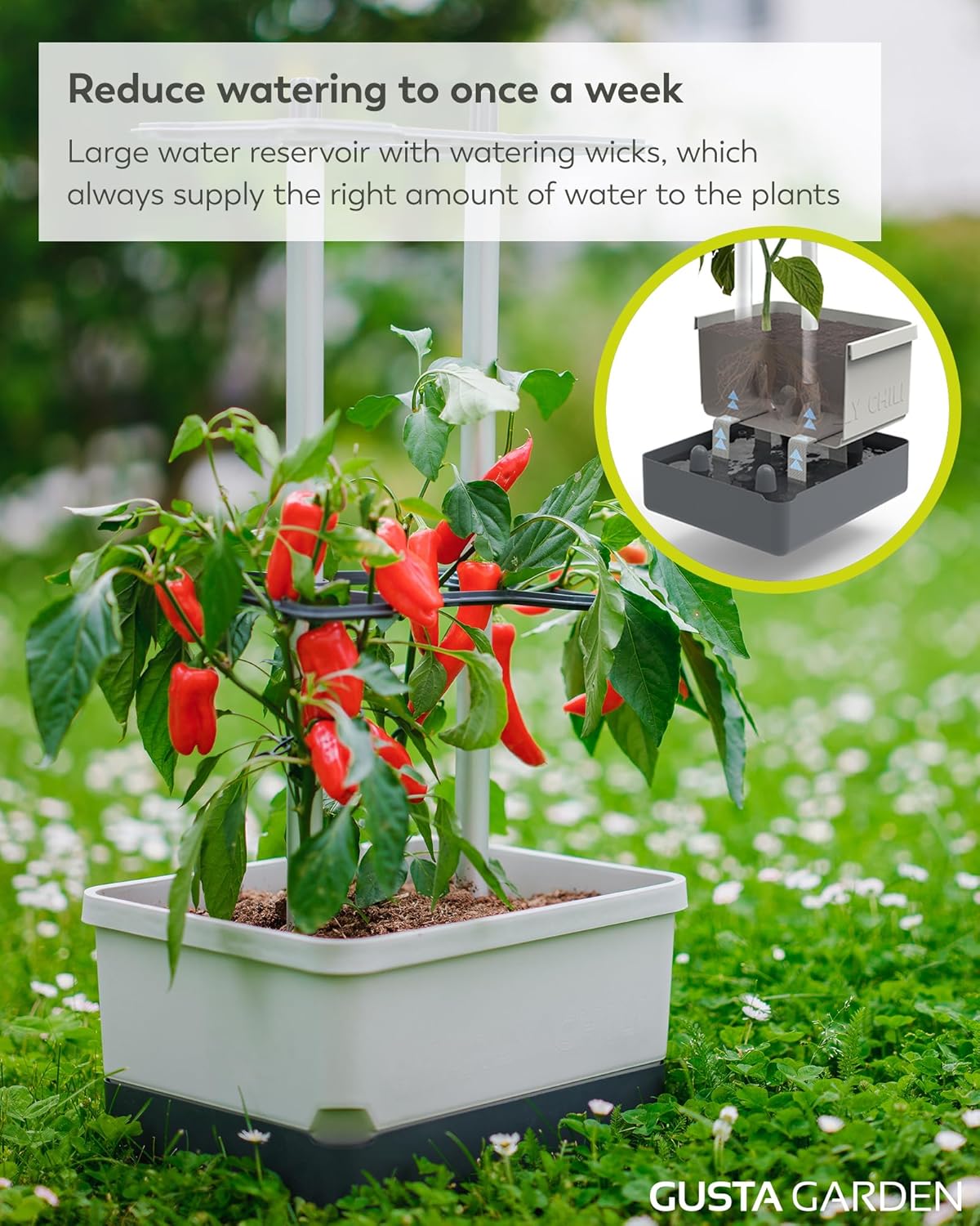 Charly Chili Planter Light Grey - Climbing Aid, Self-Watering System & Robust Frame