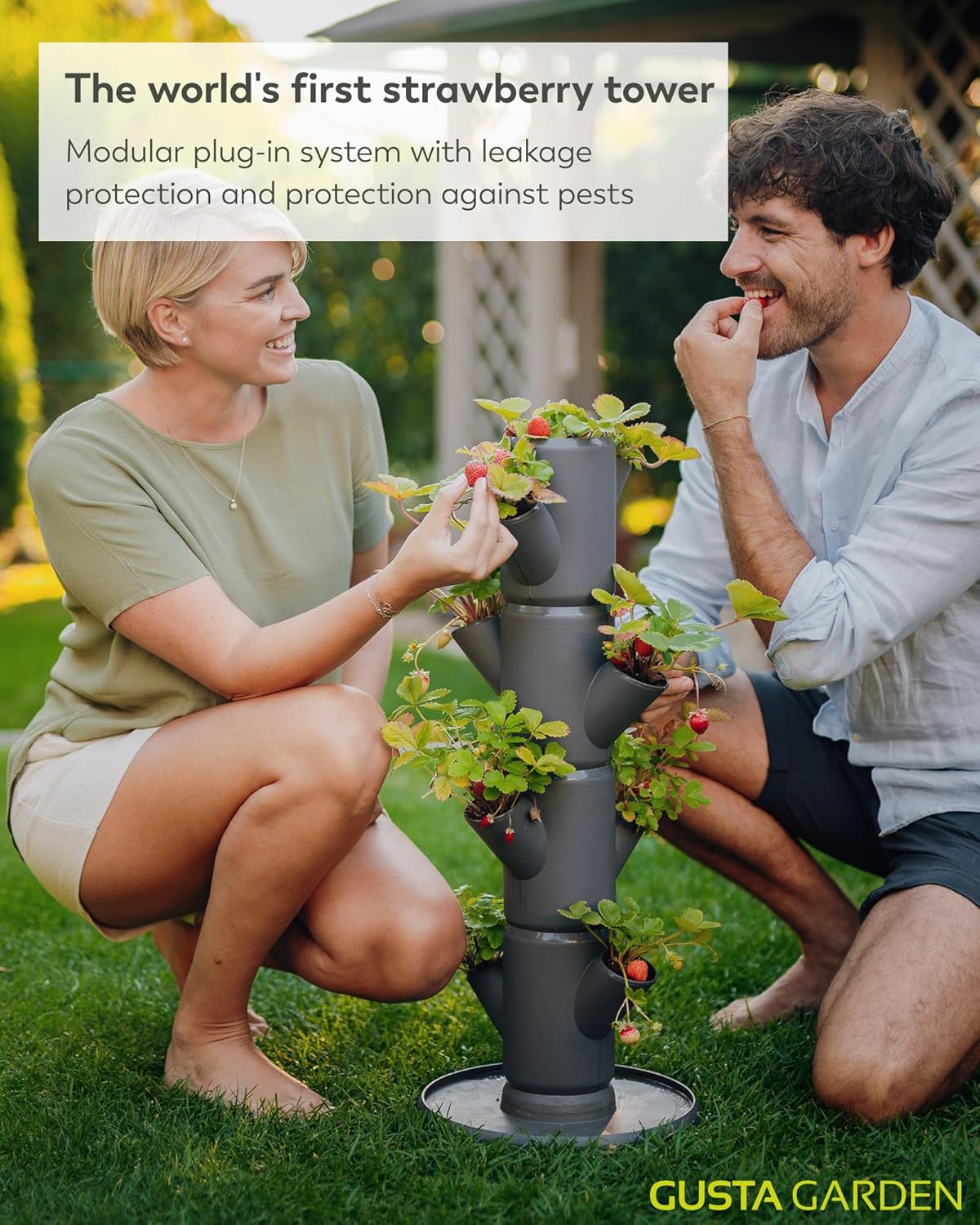 Sissi Strawberry Planter Starter - Grey