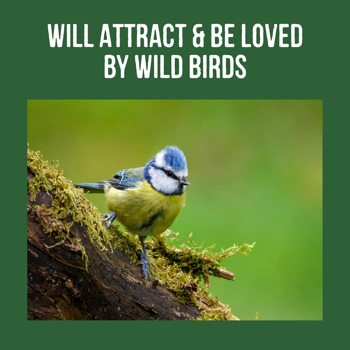 Honeyfields Sunflower Hearts 12.6kg