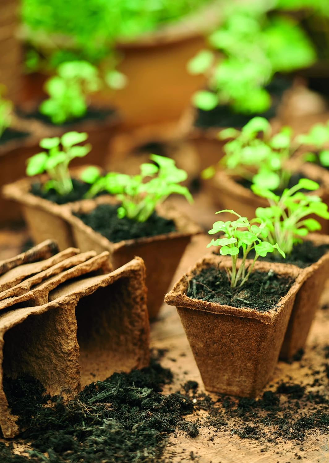 Gro-sure Fibre Pots Square 6cm 20 Pack