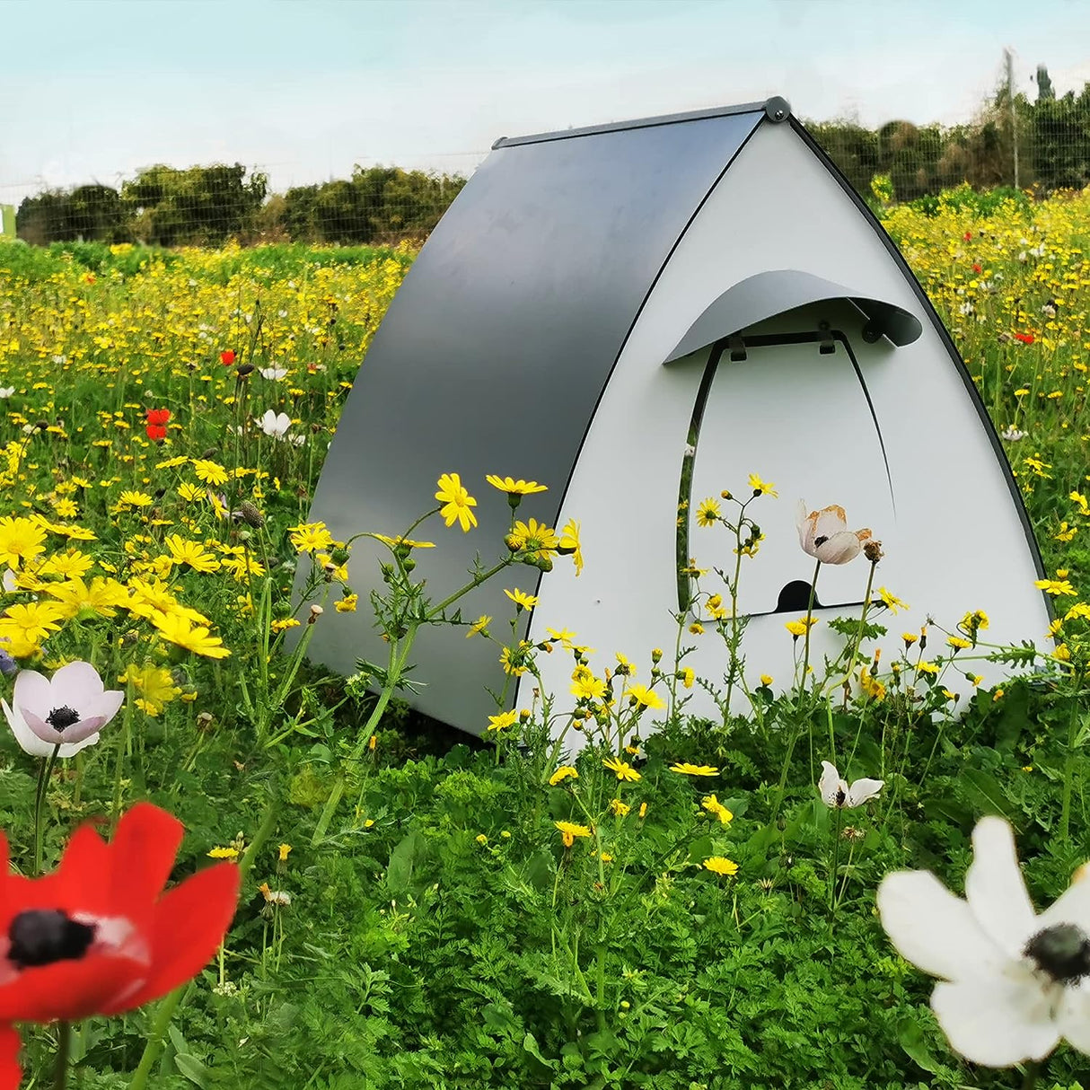 Mona Cat Shelter / Kennel