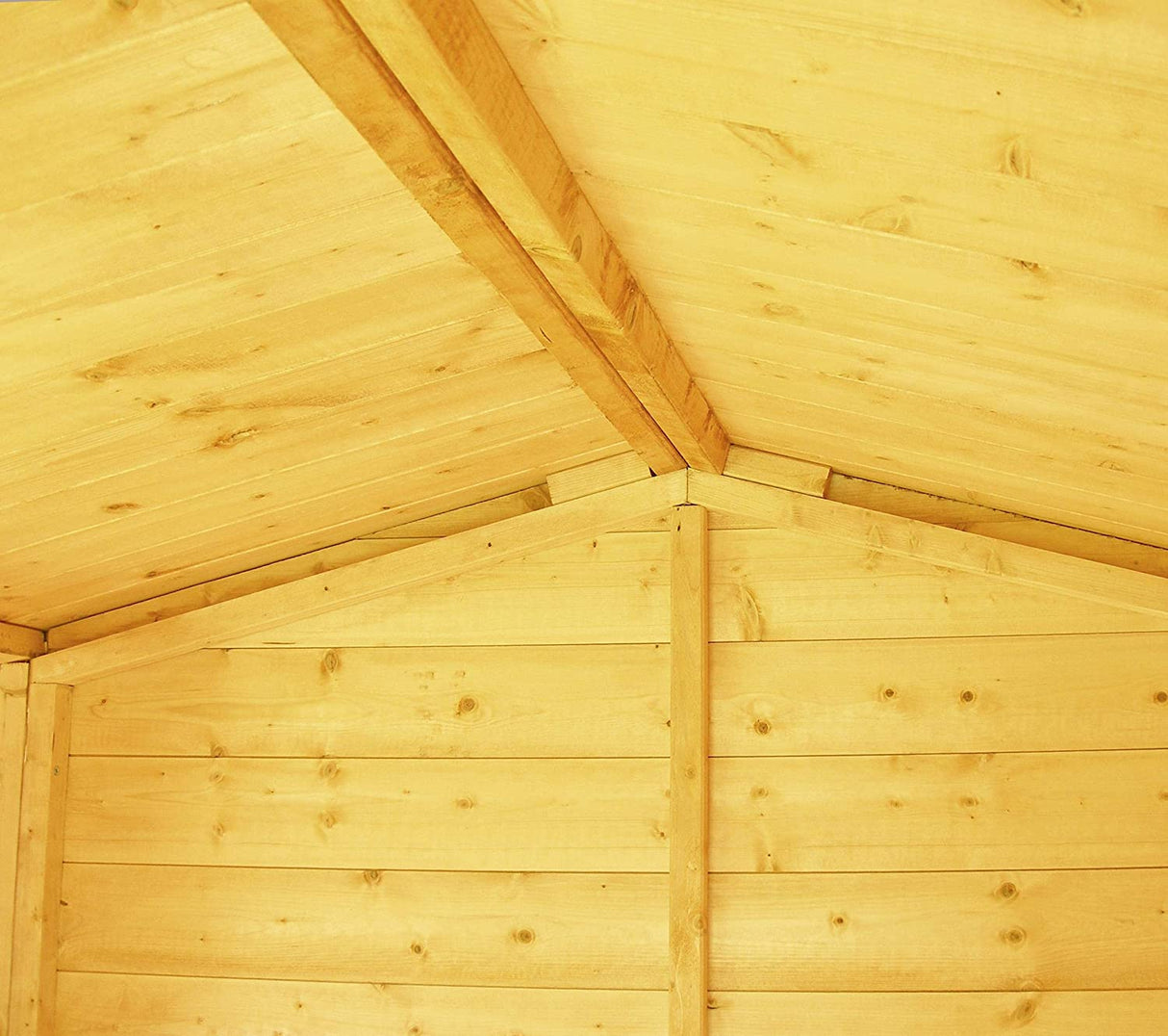 Shire Lewis 6x4 Single Door Shed