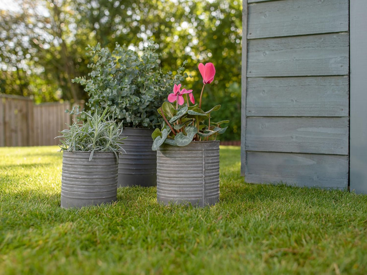 Ronseal Fence Life Plus+ - Sage 5L